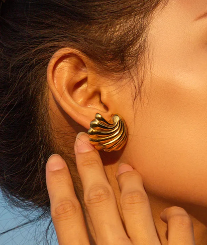 Aretes costa