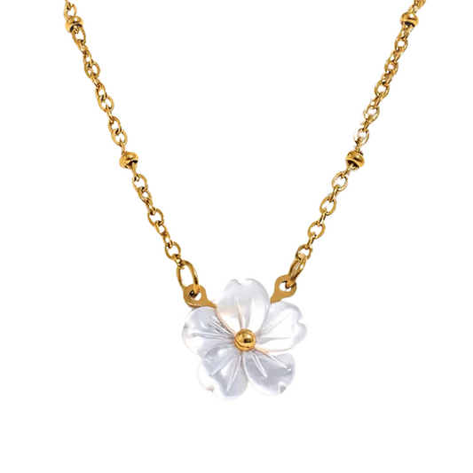 Collar Daisy