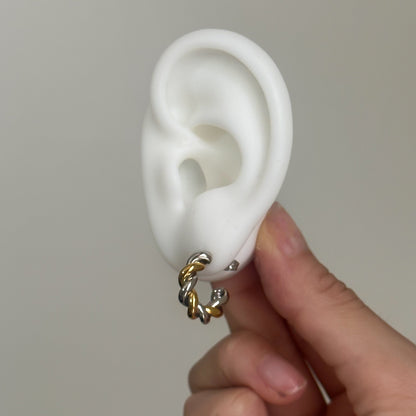 Aretes praga bicolor