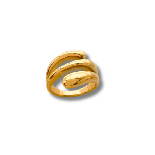 Anillo Gaudi