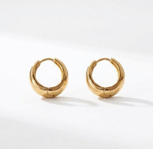 Aretes Anto